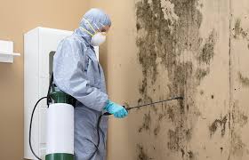 Best Water Damage & Mold Remediation  in South Gate, CA